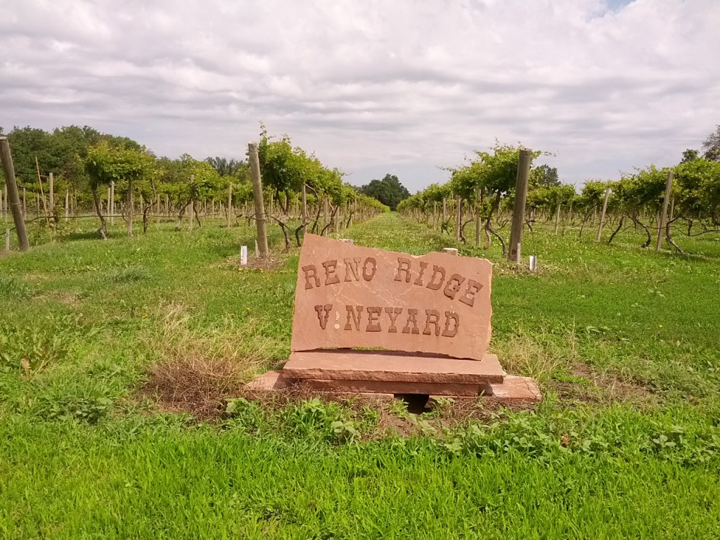 I was quite excited to find this vineyard until I discovered there was no adjacent winery