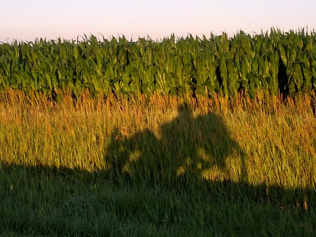 Me and my shadow.